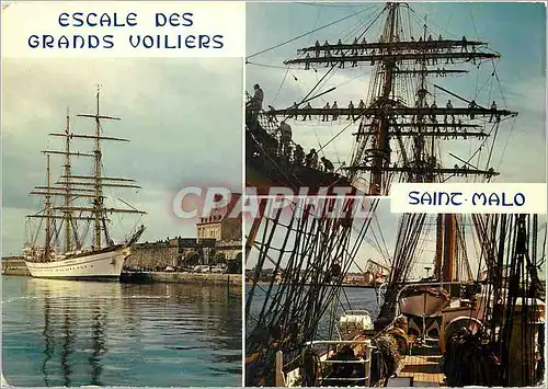 Cartes postales moderne Saint Malo I et V par tradition de nombreux grands voiliers font regulierement escale sous les r