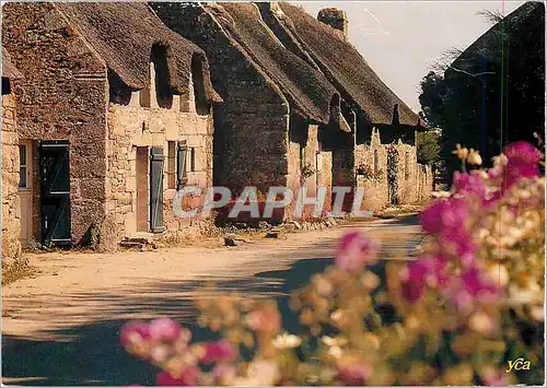 Cartes postales moderne La Bretagne Pittoresque Chaumiere fleurie