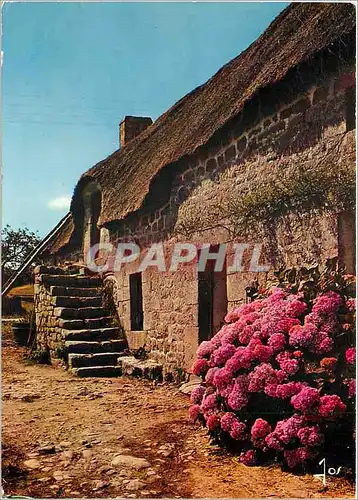 Moderne Karte La Bretagne en Couleurs Chaumiere Bretonne au Printemps