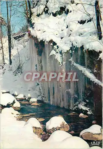 Cartes postales moderne Paysage Hivernal