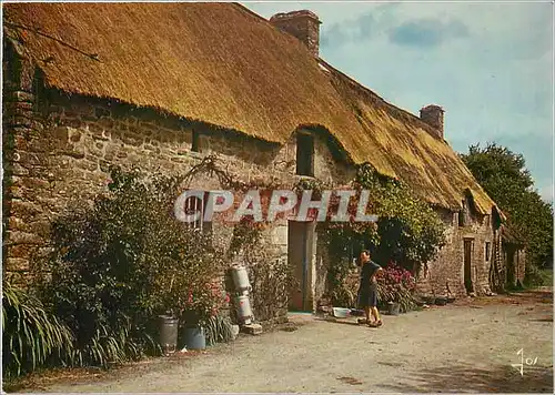 Cartes postales moderne La Bretagne en Couleurs Maison bretonne du Morbihan