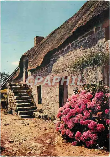 Cartes postales moderne Chaumiere bretonne au printemps