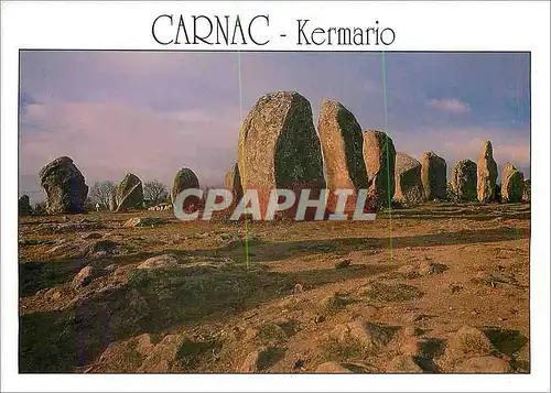 Cartes postales moderne Carnac Kermario