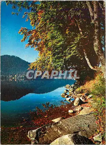 Cartes postales moderne Le Lac de Gerardmer Vosges