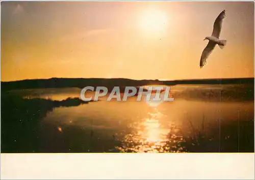 Cartes postales moderne Coucher de soleil