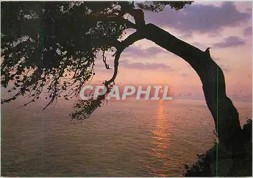 Cartes postales moderne Coucher de soleil