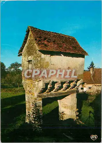Cartes postales moderne Pigeonnier