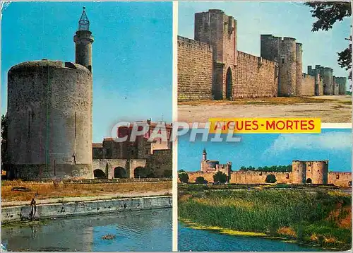 Cartes postales moderne Aigues Mortes