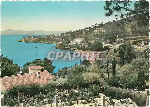 Cartes postales moderne La Cote d'Azur Varoise Aiguebelle Vue Generale