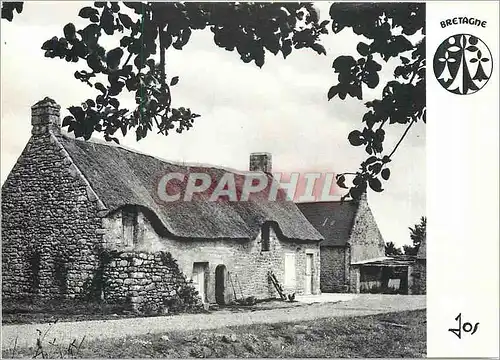 Cartes postales moderne Bretagne Pleine de joie et de Jumiere