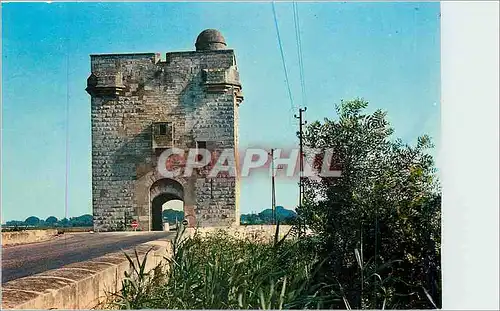Cartes postales moderne Aigues Mortes La Tour Carbonniere
