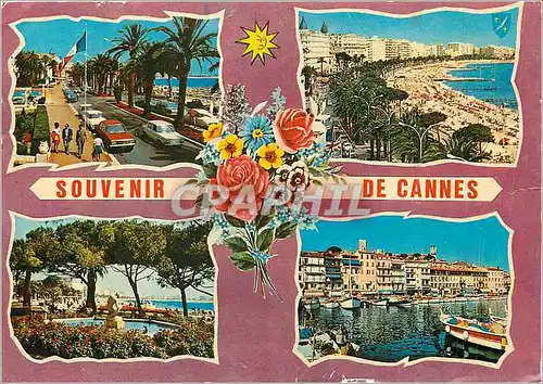 Cartes postales moderne Souvenir de Cannes