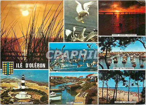 Cartes postales moderne Ile d'Oleron