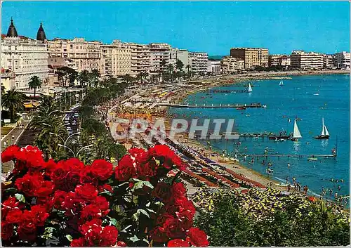 Cartes postales moderne Cannes Cote d'Azur La Croisette et les plages