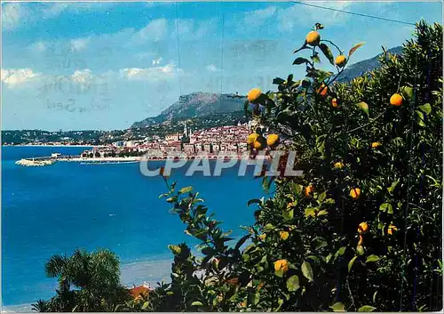 Cartes postales moderne La Cote d'Azur Menton Vue generale