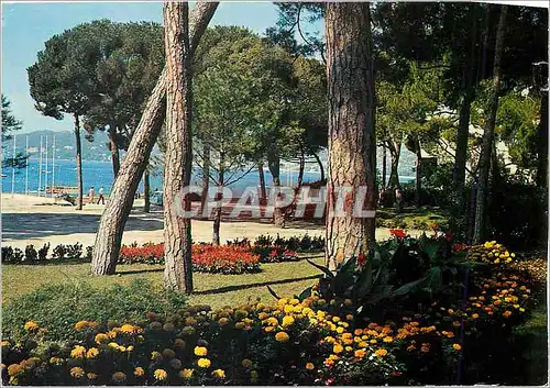 Cartes postales moderne Cote d'Azur Juan les Pins