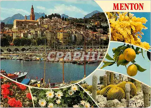 Cartes postales moderne Menton