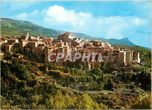 Cartes postales moderne Tourrettes sur Loup AM