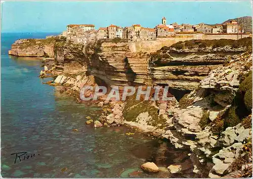 Cartes postales moderne Bonifacio Vue generale et les Falaises