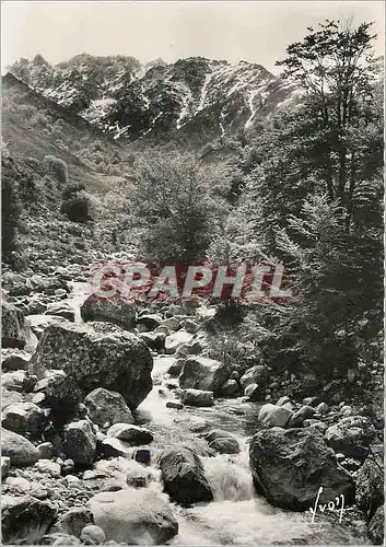 Cartes postales moderne Torrent aux environs de Bocognano Corse