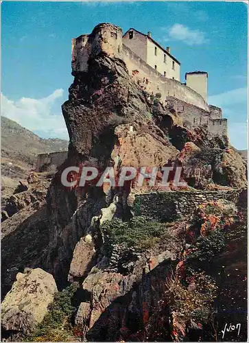 Cartes postales moderne La Corse oasis de Beaute Corte