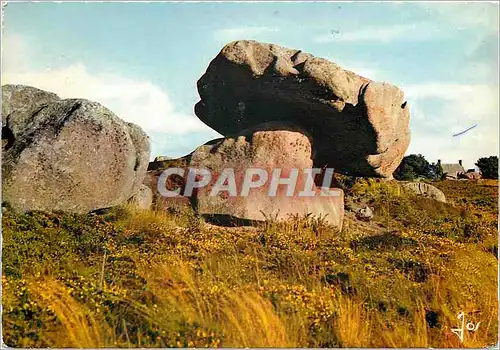 Cartes postales moderne La Cote de Granit Rose Ploumanach C du N