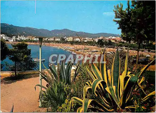 Cartes postales moderne Costa Brava San Feliu de Guixols