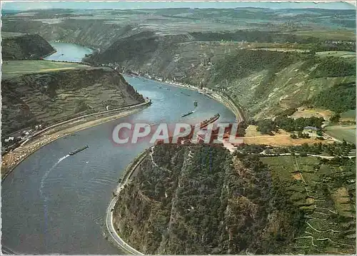 Cartes postales moderne Feisental der Loreley