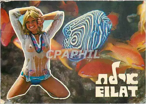 Cartes postales moderne Eilat