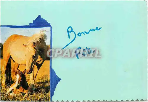 Cartes postales moderne Bonne Fete Cheval