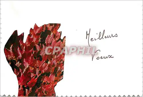 Cartes postales moderne Meilleurs Voeux Fleurs