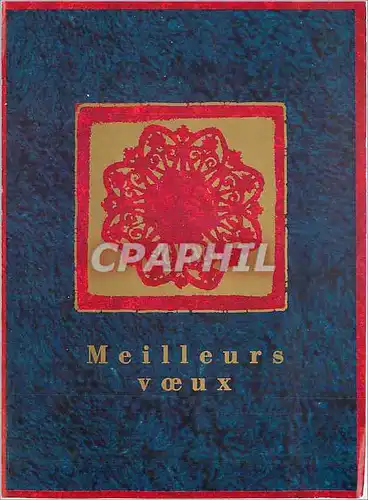 Cartes postales moderne Meilleurs Voeux