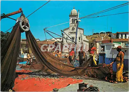 Cartes postales moderne Port Vendres L'Arrivee des Pecheurs