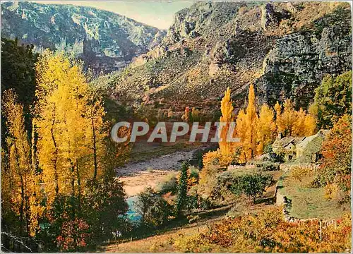 Cartes postales moderne Gorges du Tarn Lozere Entre la Malene et le Cirque des Baumes