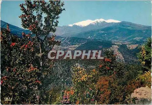 Moderne Karte Le Canigou au printemps