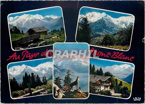 Cartes postales moderne Au pays du Mont Blanc