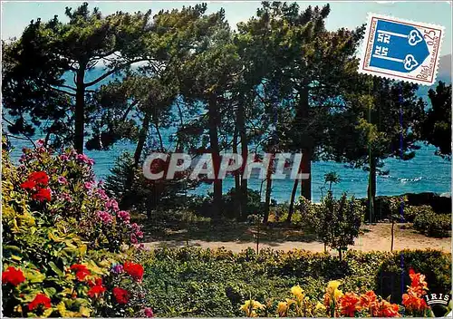 Cartes postales moderne En suivant le littoral de la Mediterranee