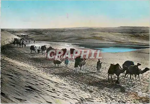 Cartes postales moderne Scenes et Types du Maroc sur la Grande Piste