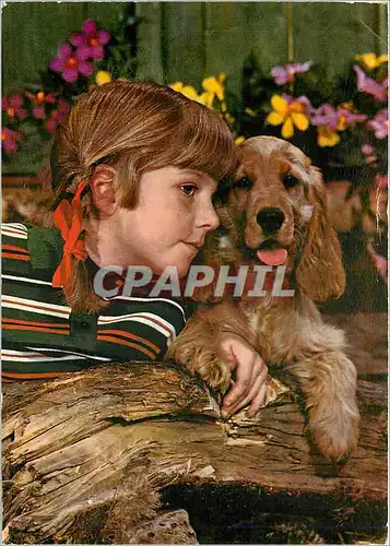 Cartes postales moderne Chien