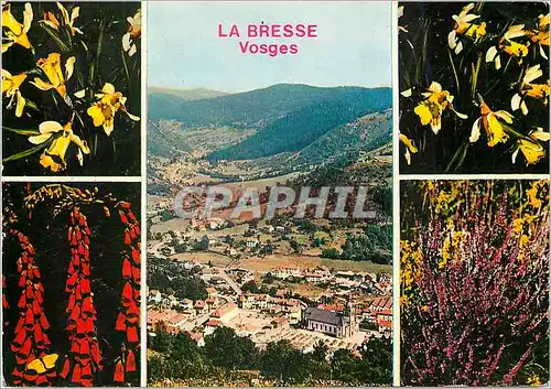 Cartes postales moderne La Bresse Vosges