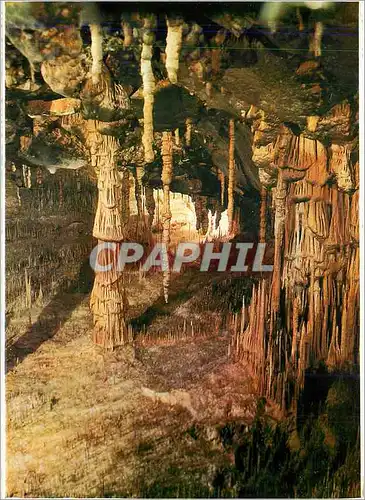 Cartes postales moderne Cuevas del Drach Porto Cristo Mallorca Le Theatre des Fees