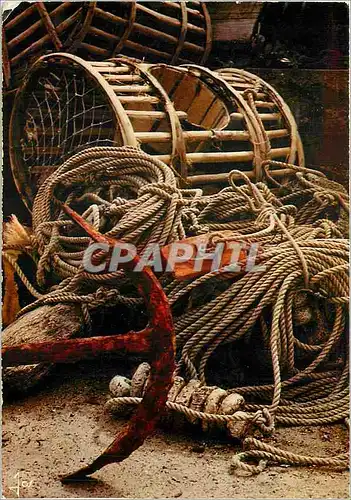 Cartes postales moderne Casiers de Crustaces