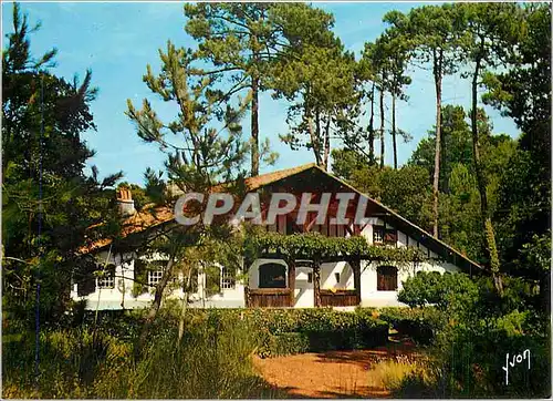 Cartes postales moderne Villa Landaise dans la foret de Pins