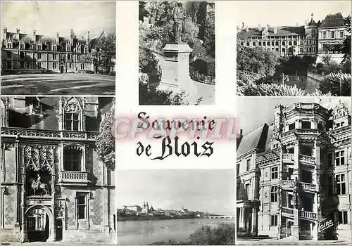 Cartes postales moderne Souvenir de Blois