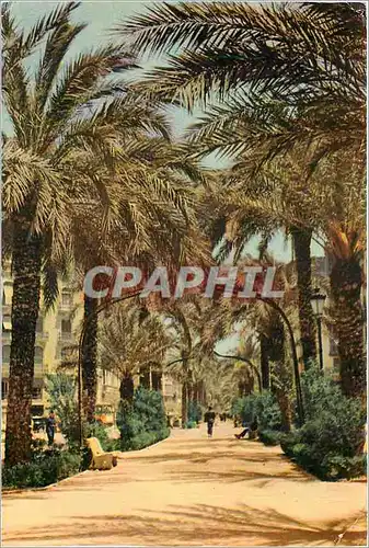 Cartes postales moderne Valencia Boulevard Jose Antonio