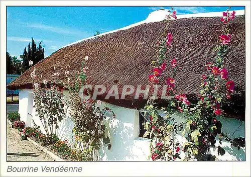 Cartes postales moderne Bourrine Vendeenne
