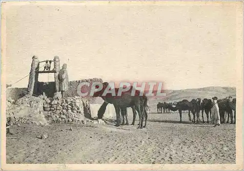 Cartes postales moderne Fezzan