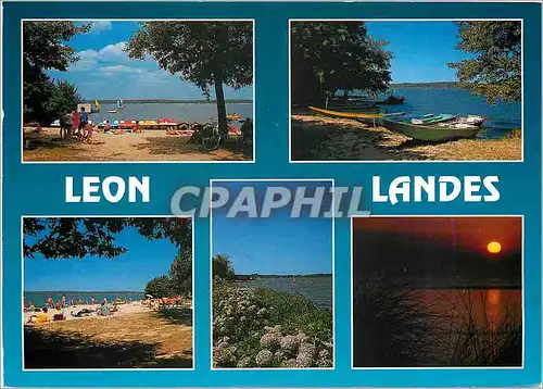 Cartes postales moderne Leon Landes