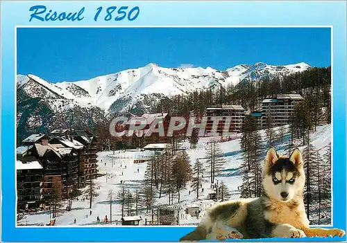 Moderne Karte Les Hautes Alpes Risoul Chien