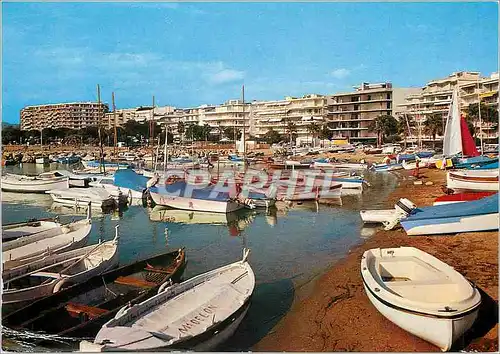 Cartes postales moderne Cannes La Plage et le Petit Port pres du Casino Palm Beach